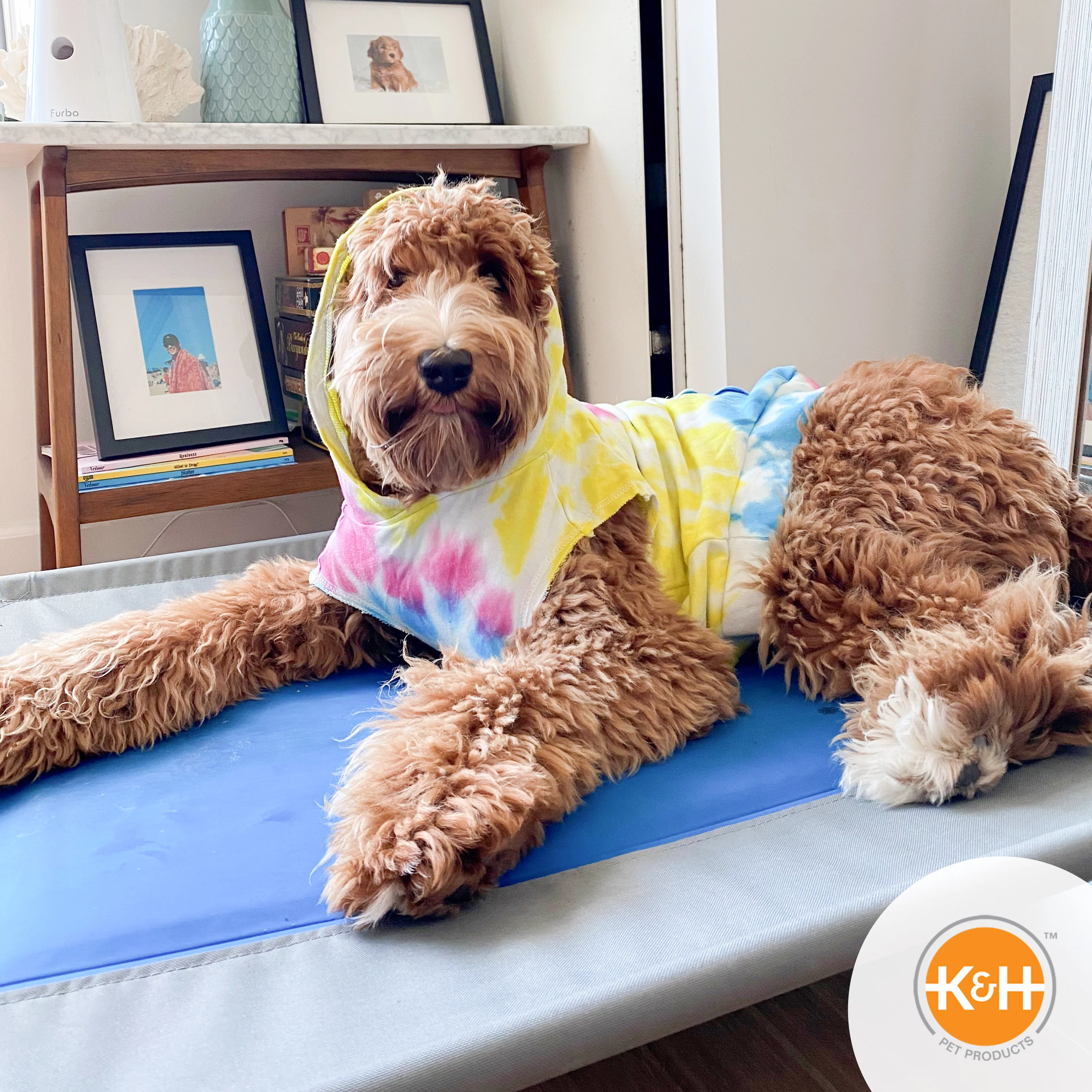 K&H Coolin' Pet Cot - Image 6
