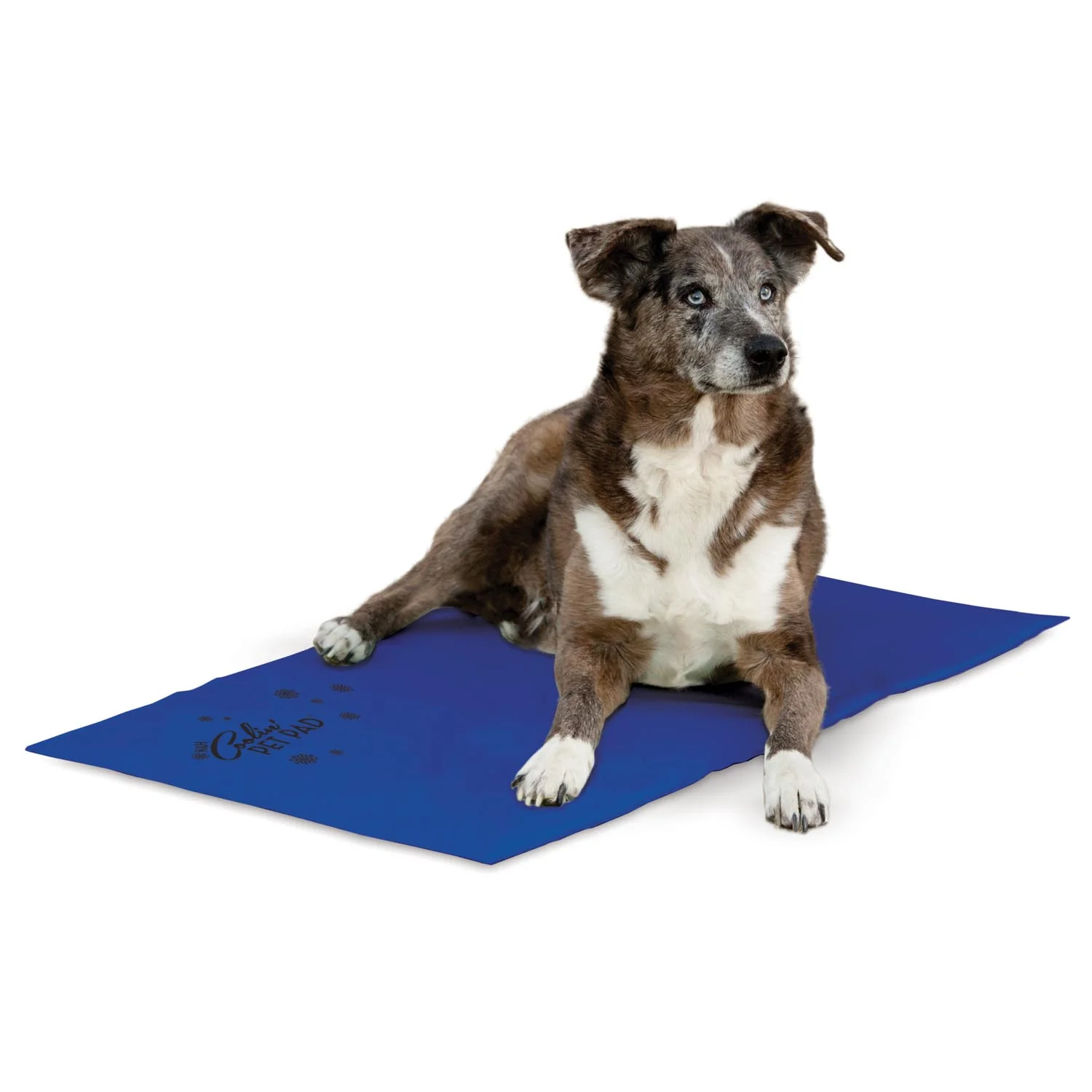 K&H Coolin' Pet Pad - Image 7