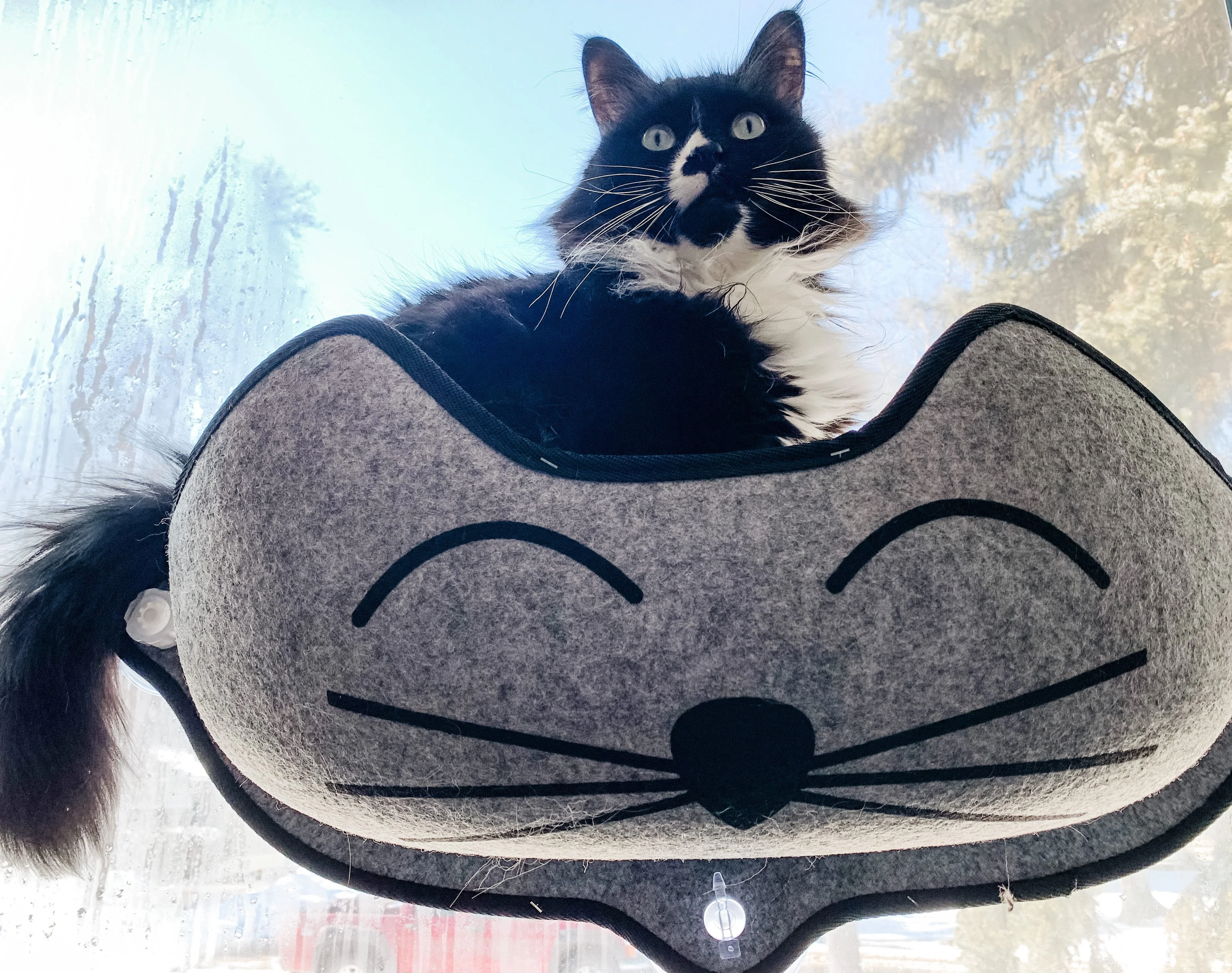 K&H EZ Mount Kittyface Window Bed - Image 10