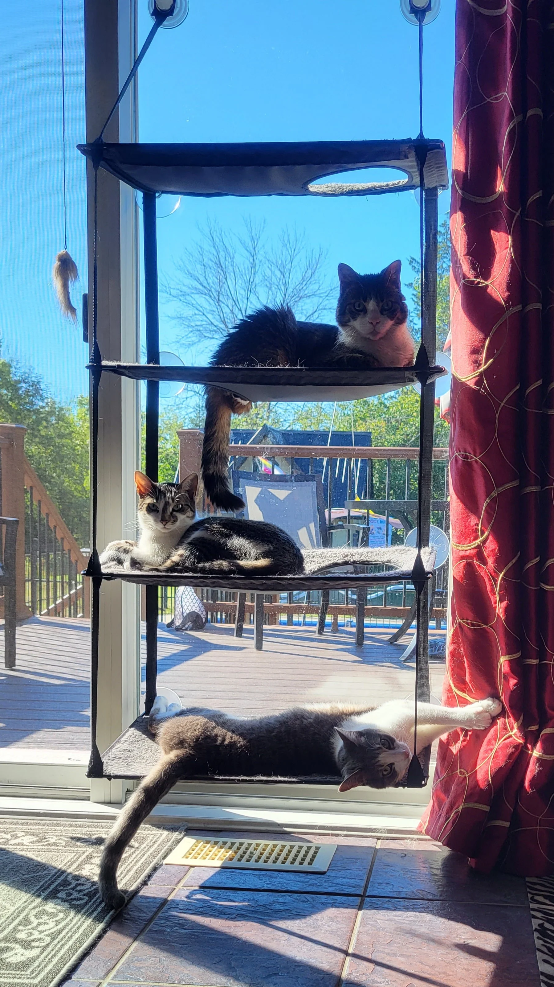 K&H EZ Mount Window Kitty Sill Quad Stack - Image 5