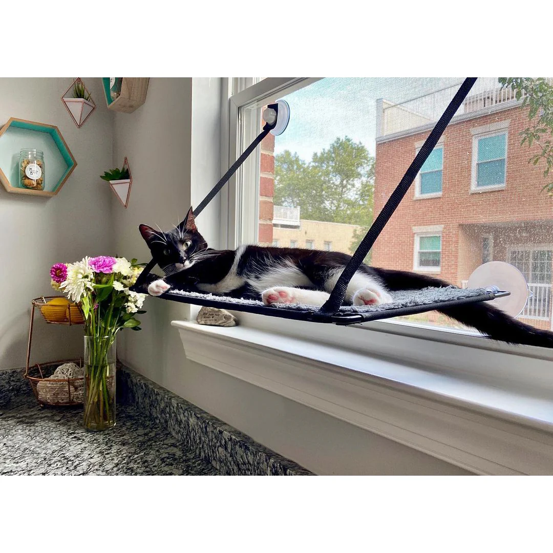 K&H EZ Mount Window Kitty Sill Single Level - Image 11