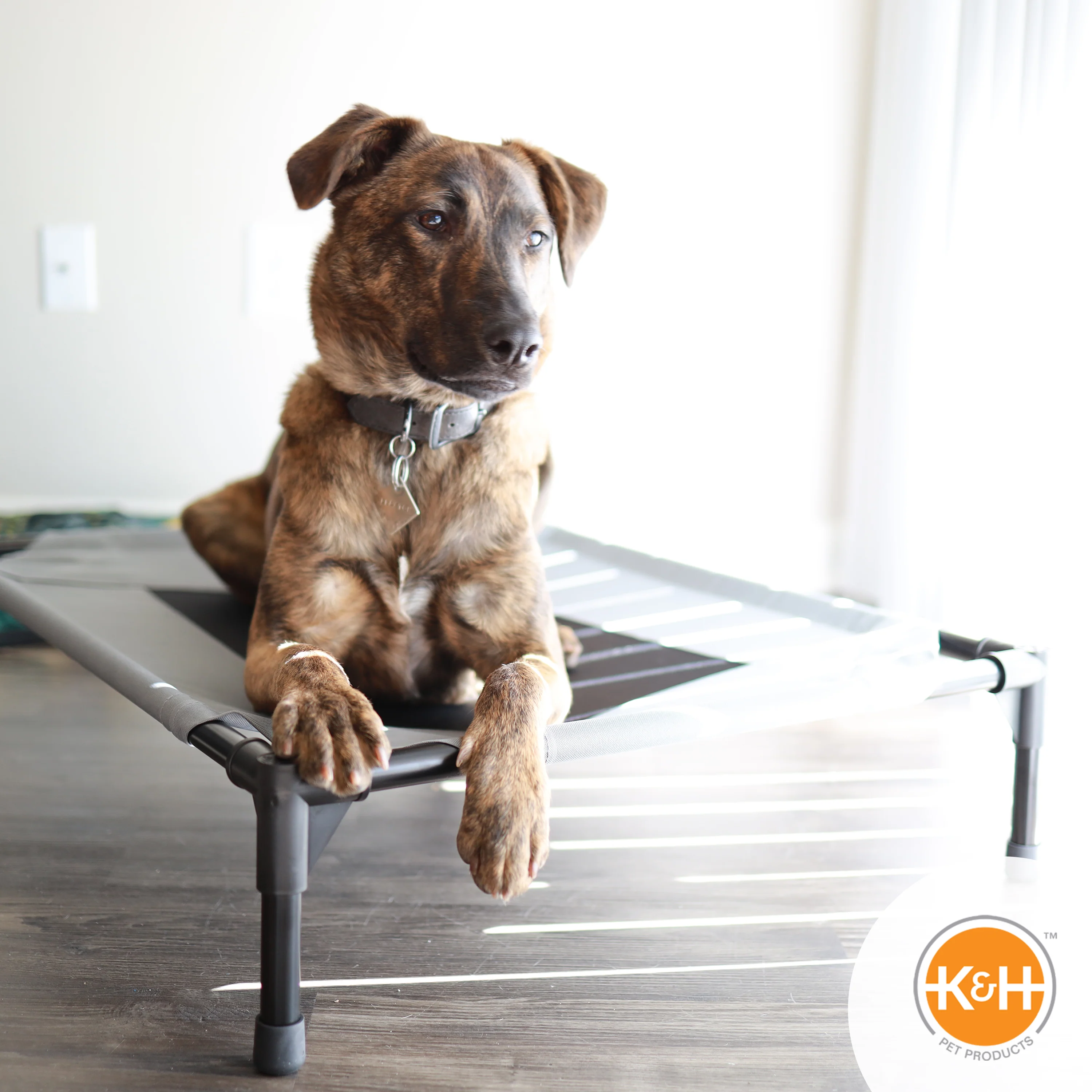 K&H Original Pet Cot - Image 14
