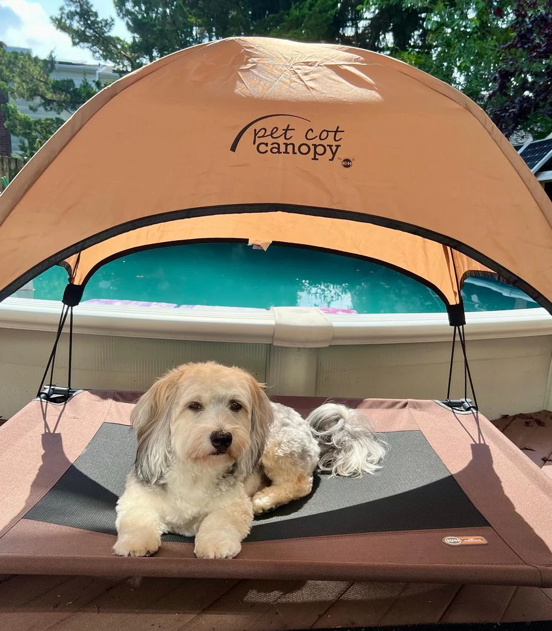 K&H Pet Canopy - Image 4