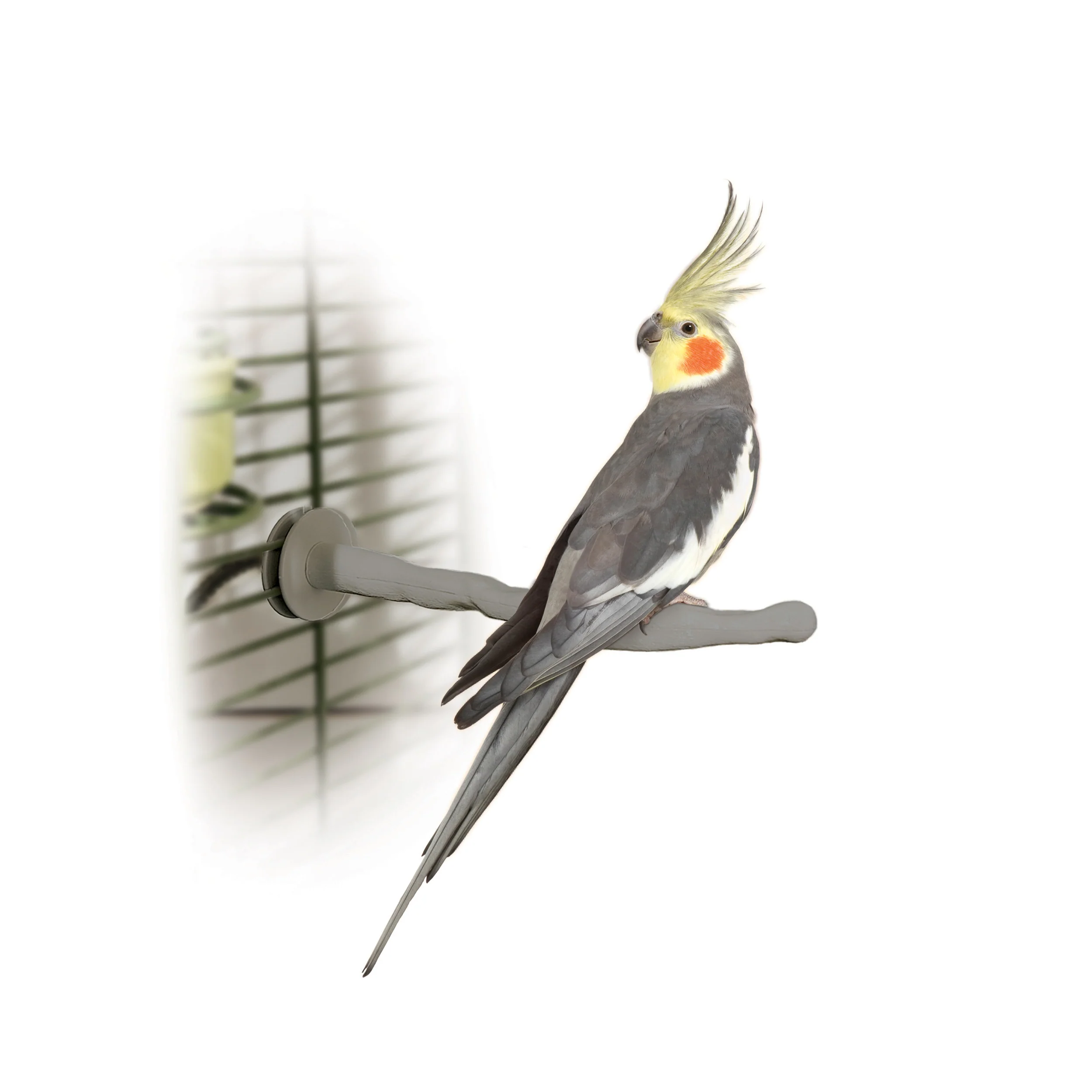 K&H Thermo-Perch Heated Bird Perch