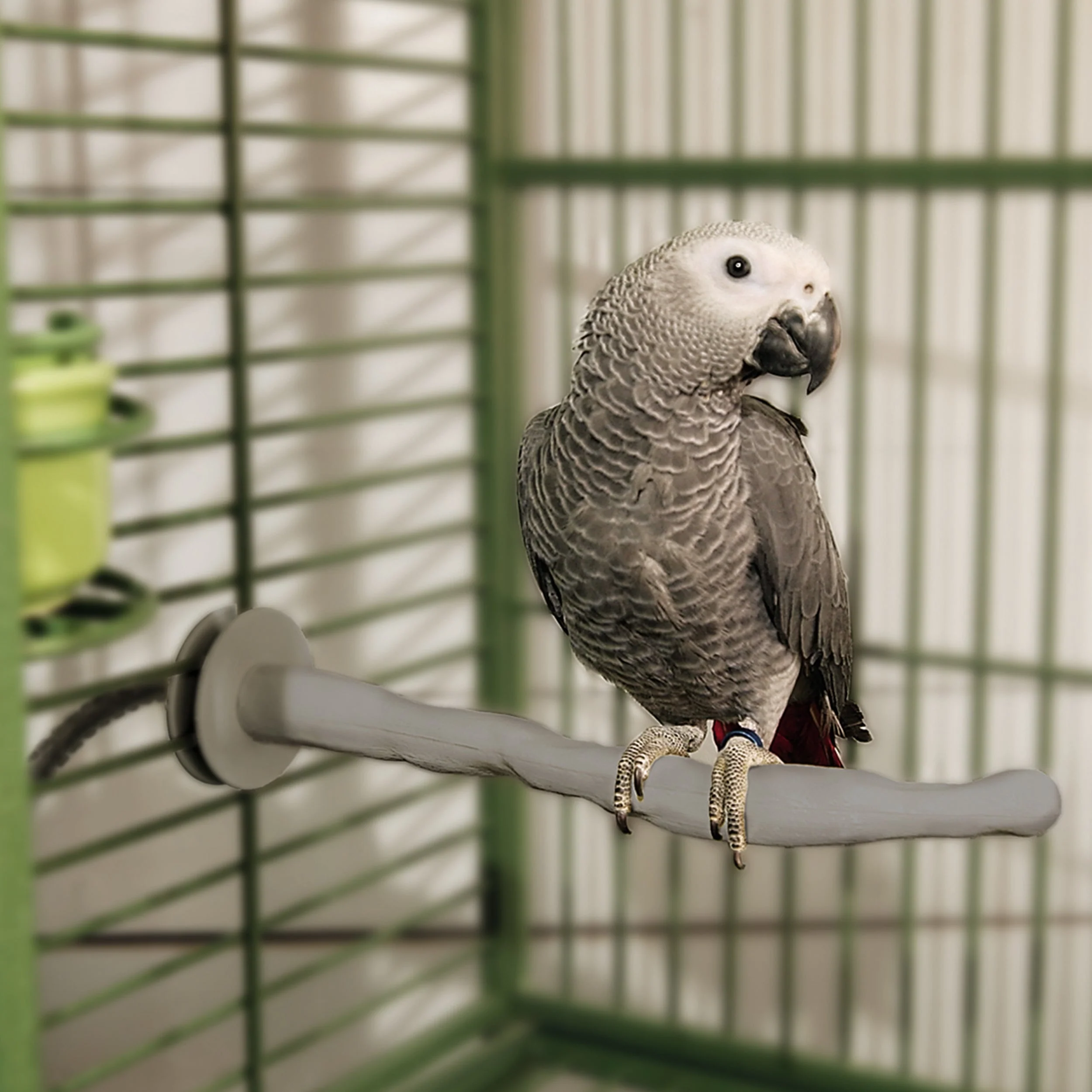 K&H Thermo-Perch Heated Bird Perch - Image 5
