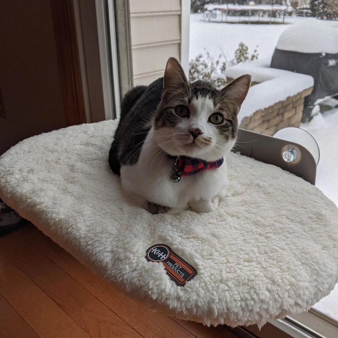 K&H Universal Mount Kitty Sill - Image 2